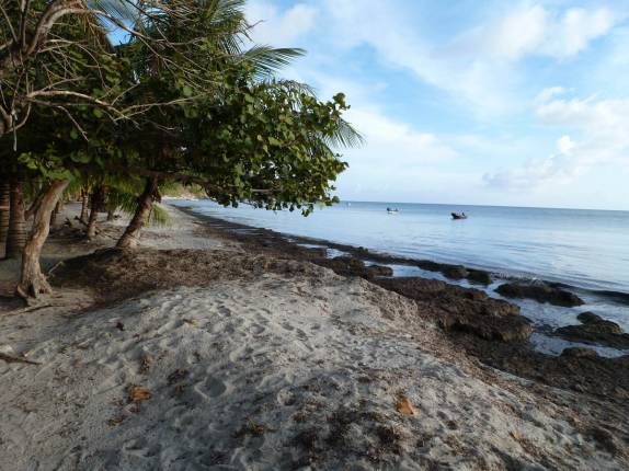 Praia em Providencia, ilha colombiana no mar do Caribe